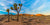 Desert Outback