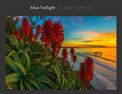 La Jolla Collection - Best Sellers and Artist Favorites (2)