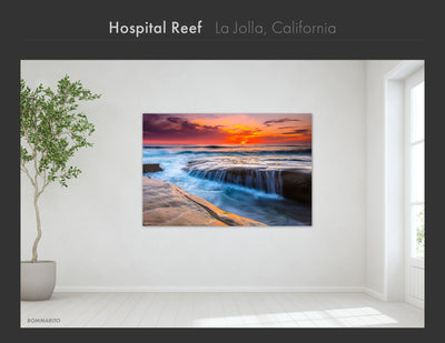 La Jolla Collection - Best Sellers and Artist Favorites (2)