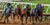 Opening Day Races