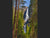 Upper & Lower Yosemite Falls
