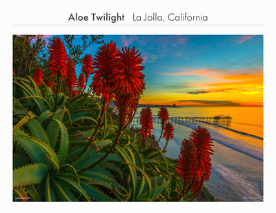 La Jolla, California - Collection 01 (Print)